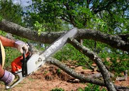 Best Seasonal Cleanup  in Buckeye Lake, OH